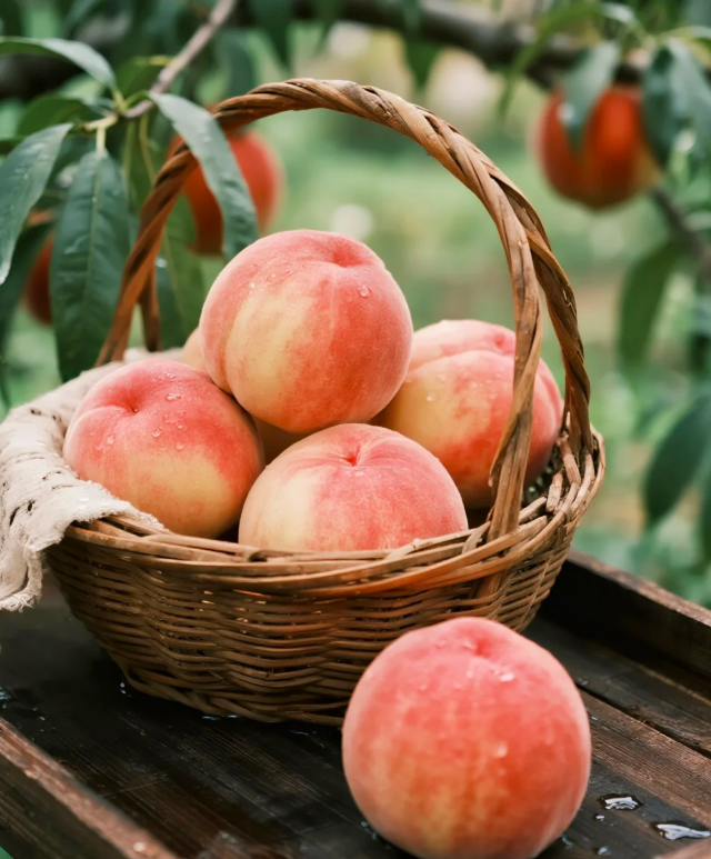 🍑🌱 Premium семена от праскова – отгледайте собствено плодово дърво у дома! 🌱🍑