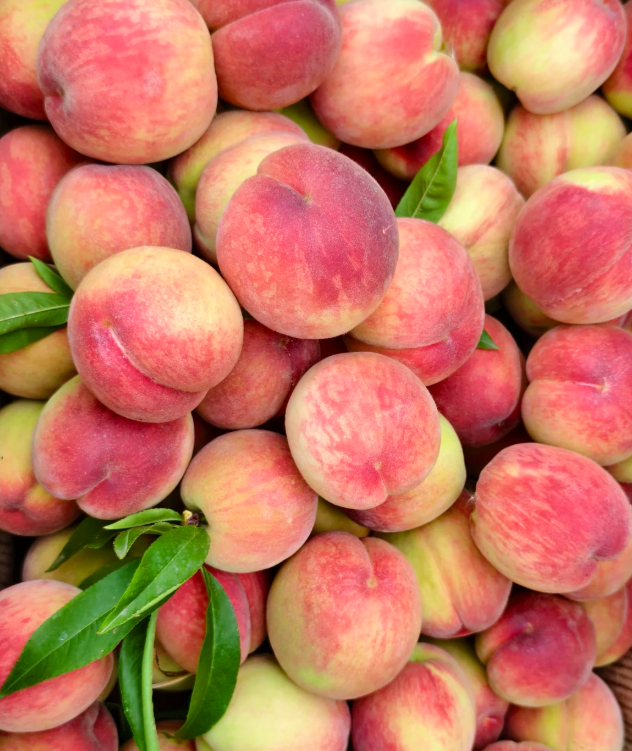 🍑🌱 Premium семена от праскова – отгледайте собствено плодово дърво у дома! 🌱🍑