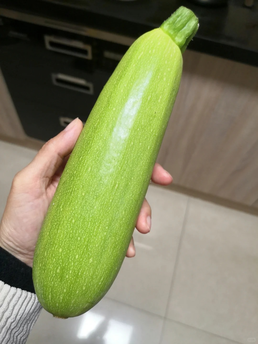 🌱 Σπόροι Κολοκυθιού – Εύκολη Καλλιέργεια, Υψηλή Απόδοση για Κήπο & Μπαλκόνι