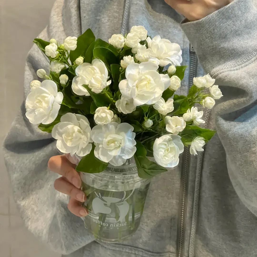 Семена от кичест жасмин