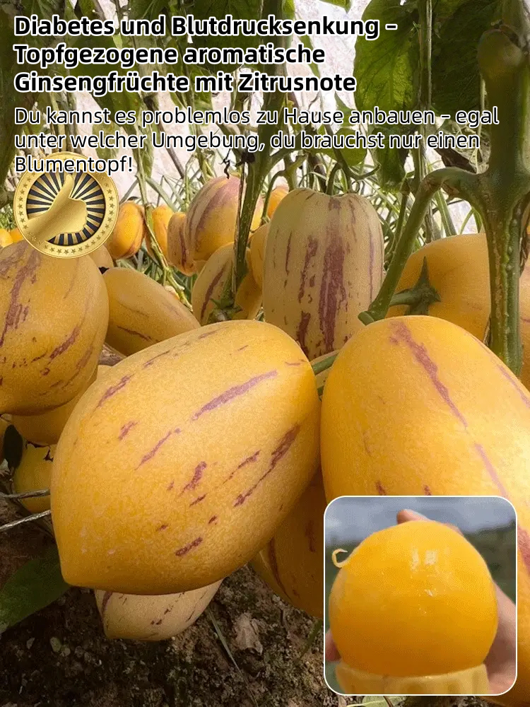 🎁30% Rabatt🍐🍐Pepinos-Samen (Melonen-Birnen)