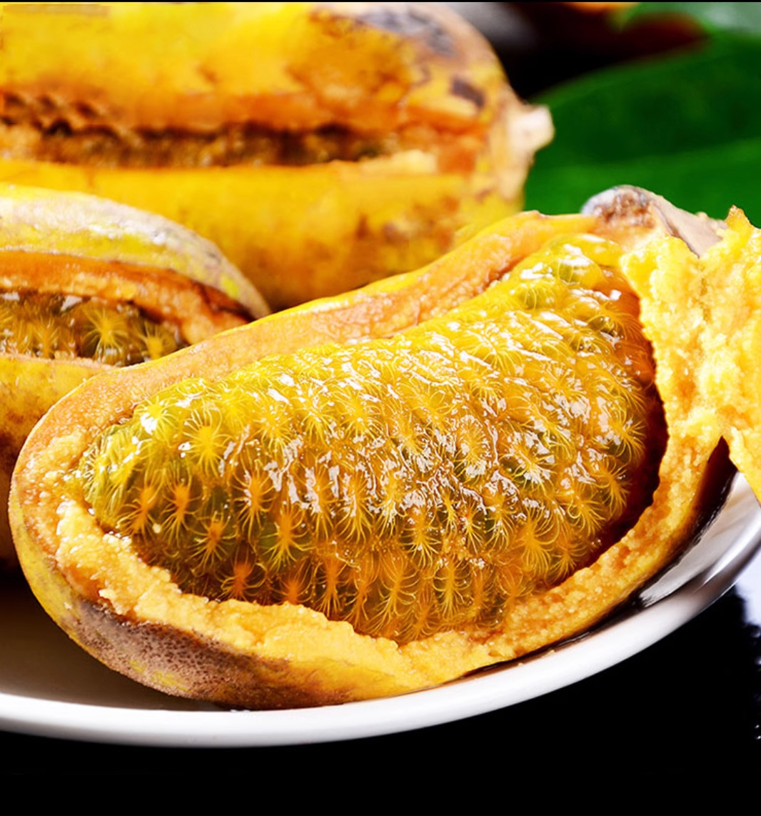 Stauntonia Leucantha Seeds