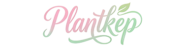 Plantkep