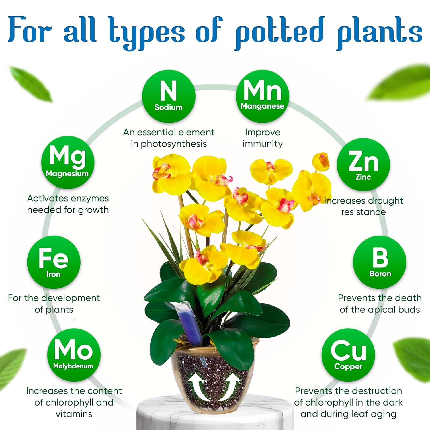 Seasonal promotion--Plant regeneration agent