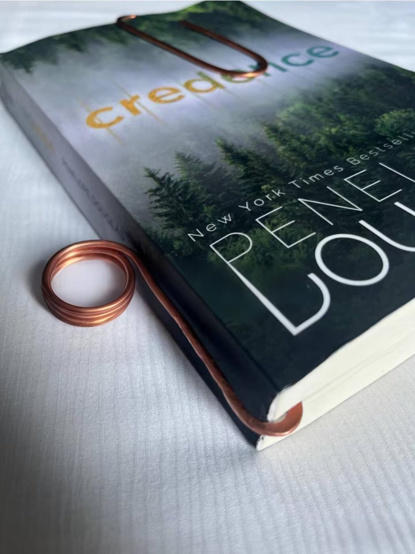 Multifunctional reading tool