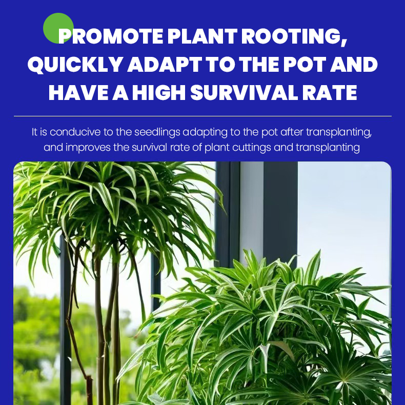 Seasonal promotion--Plant regeneration agent
