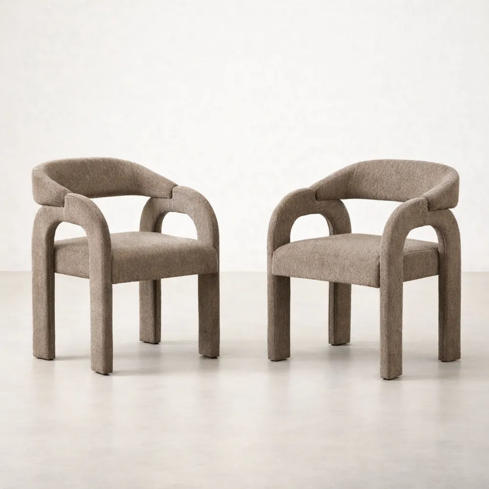 Ensemble de 2 Chaises Confortables avec Dossier Incurvé pour Salle à Manger