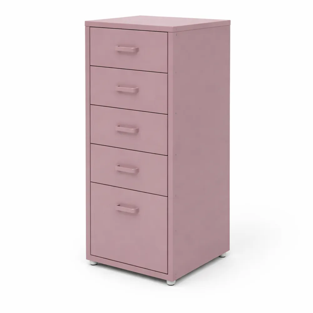 Armoire de Rangement Mobile à 5 Tiroirs avec Poignées Ergonomiques en Inox-Rowangrov