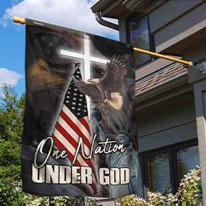 PN262Fv1 fly on american sky