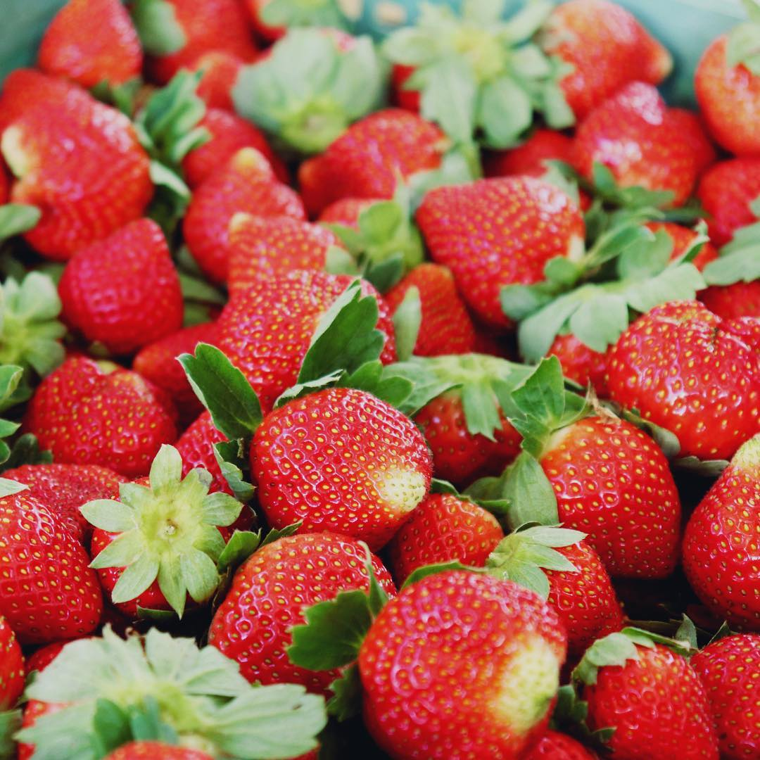 🍓 Semena obrovských krémových jahod 🍓 - Sladká pochúťka pre vašu záhradu! 😍