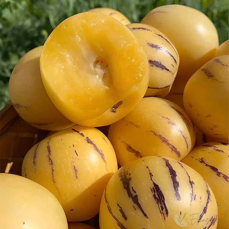 Obrovská čučoriedka: Veľkosť pingpongovej loptičky, ⭐Zmiešaná chuť jahôd a čerešní