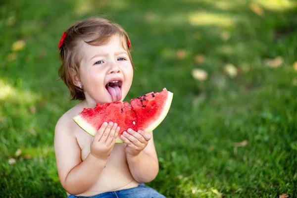 🔥Posledný deň výpredaja🍉Semienka melónu od Lazy Mana🍉