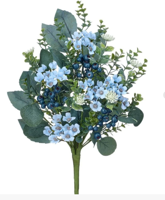 Σπόροι Κήπου 🌱