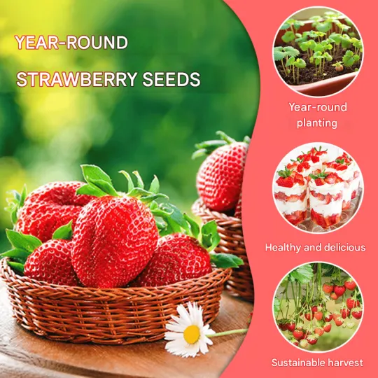 Семена от ягоди за целогодишни отглеждане🍓
