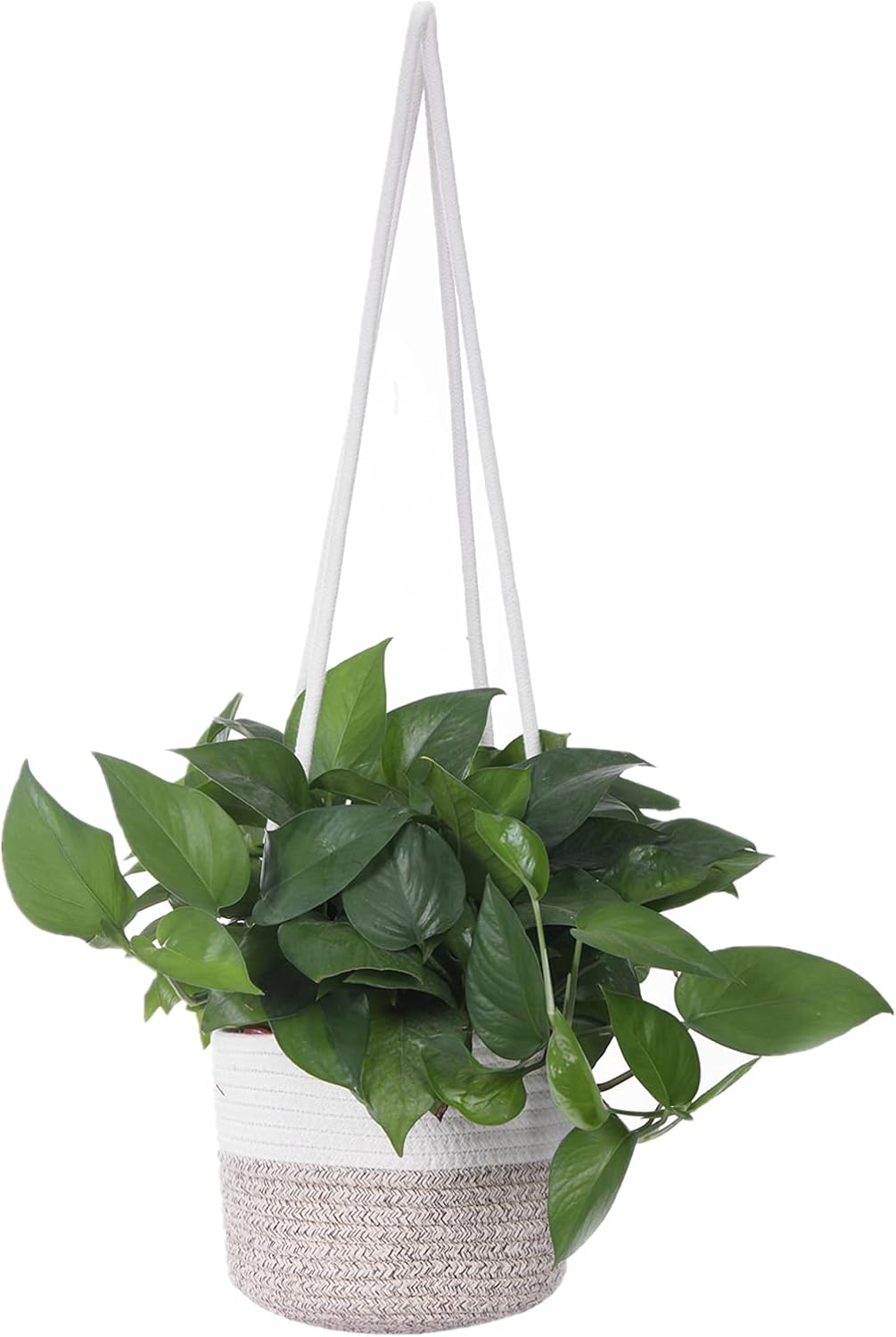 Hanging Planter Basket