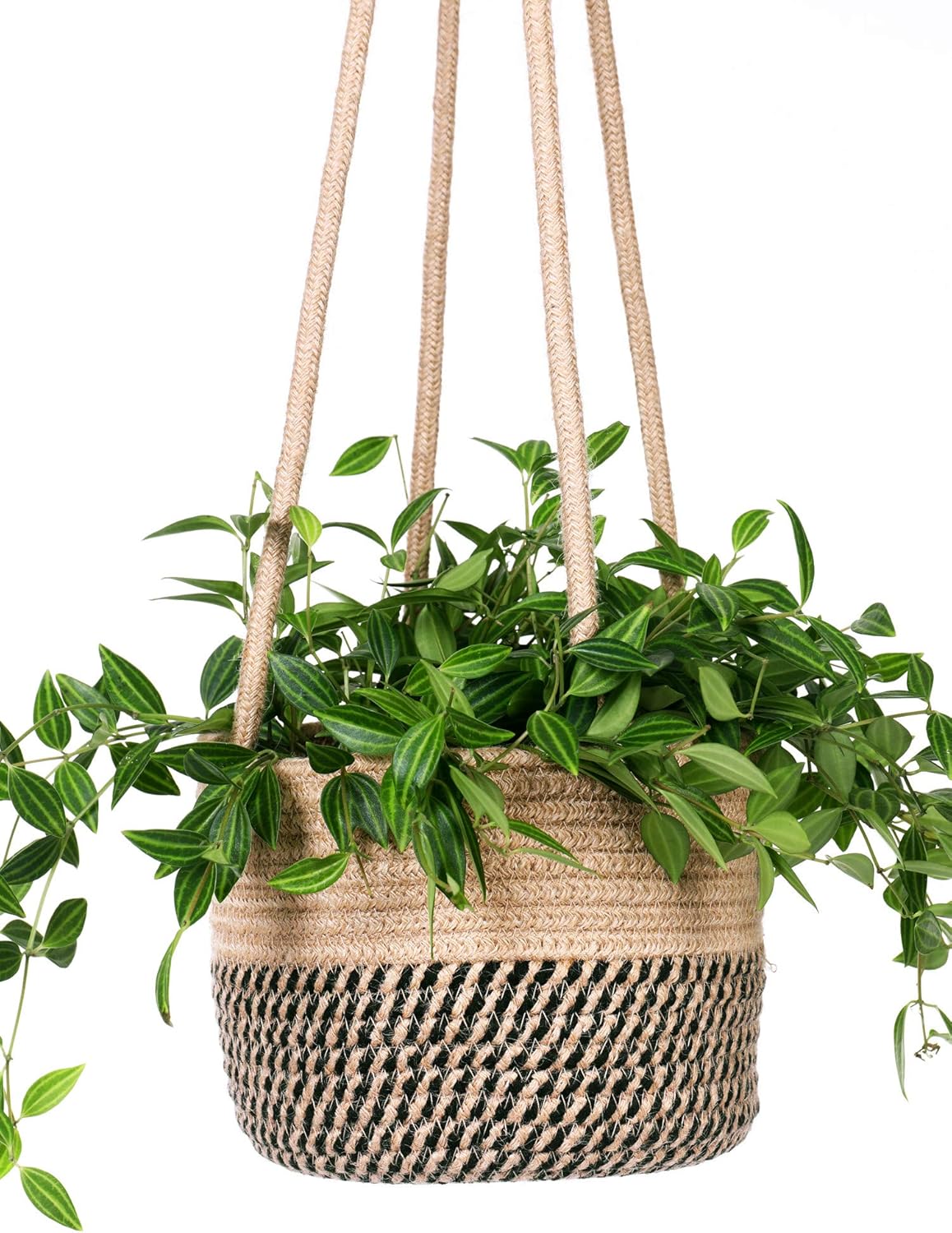 Hanging Planter Basket