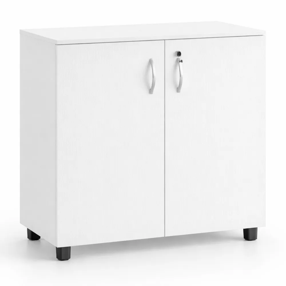 Armoire de rangement à deux niveaux avec portes et verrous pour bureau ou garage