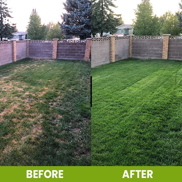 🏆 Limited Time Deal⭐75K+ SOLD🌳Soil Pro Activator