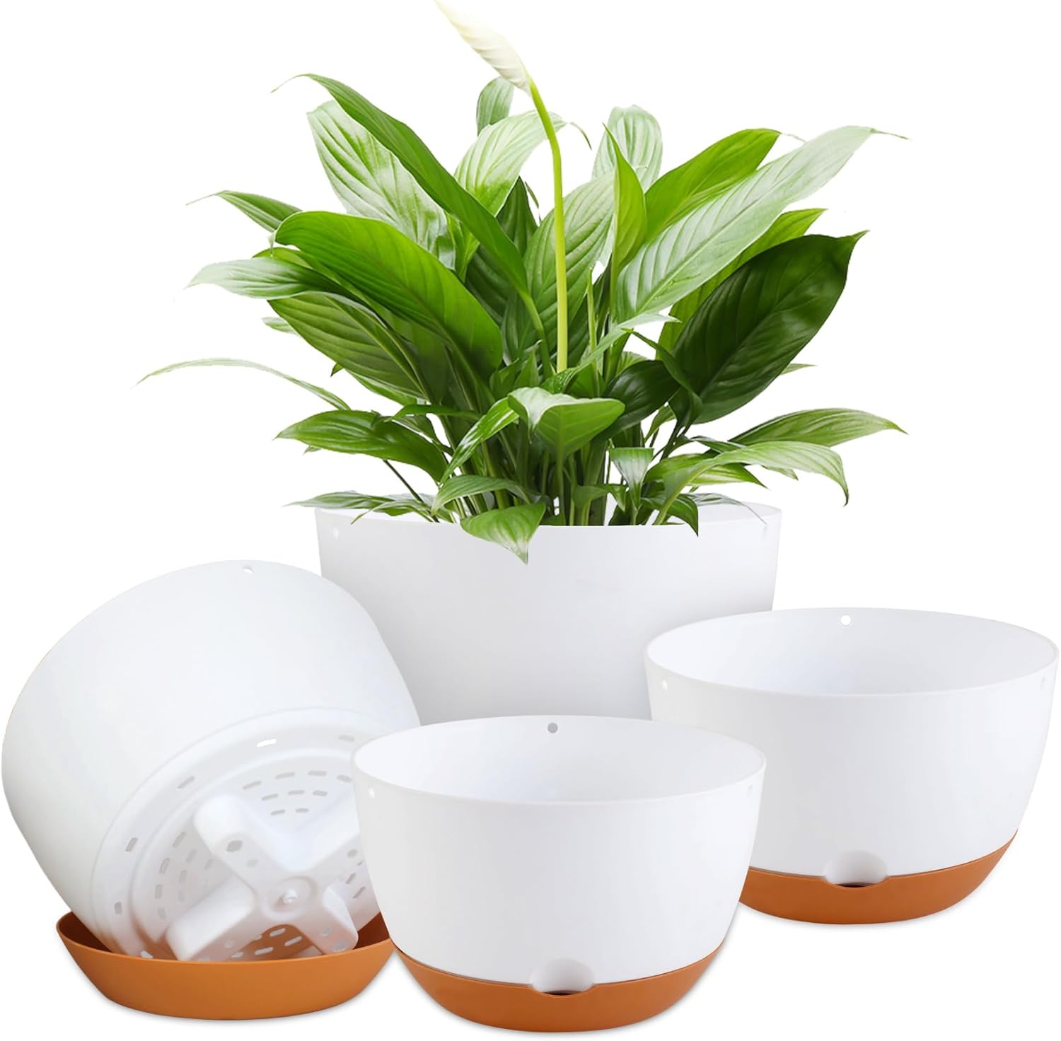  Pots for Indoor Plants