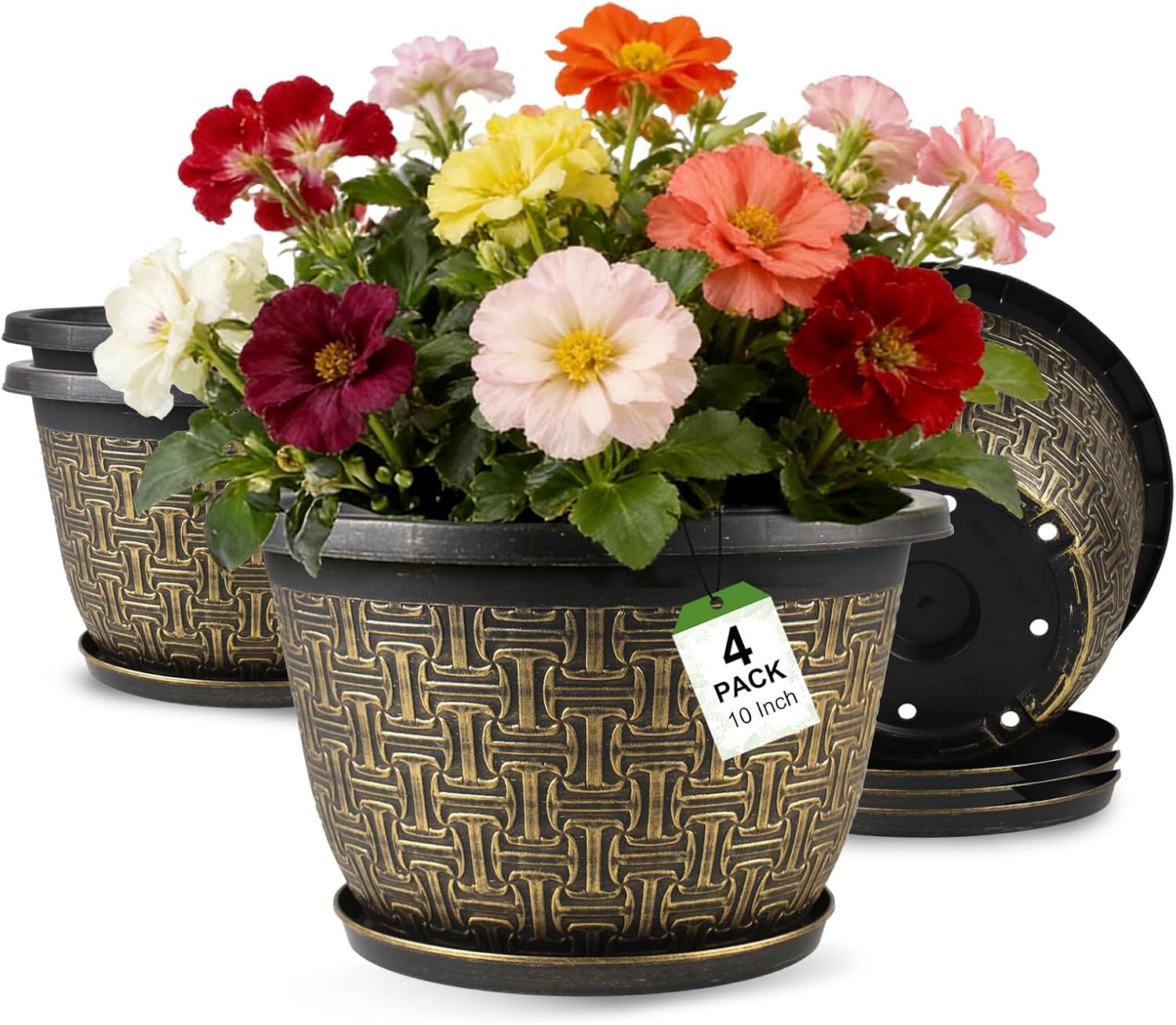 10 Inch Plant Pots