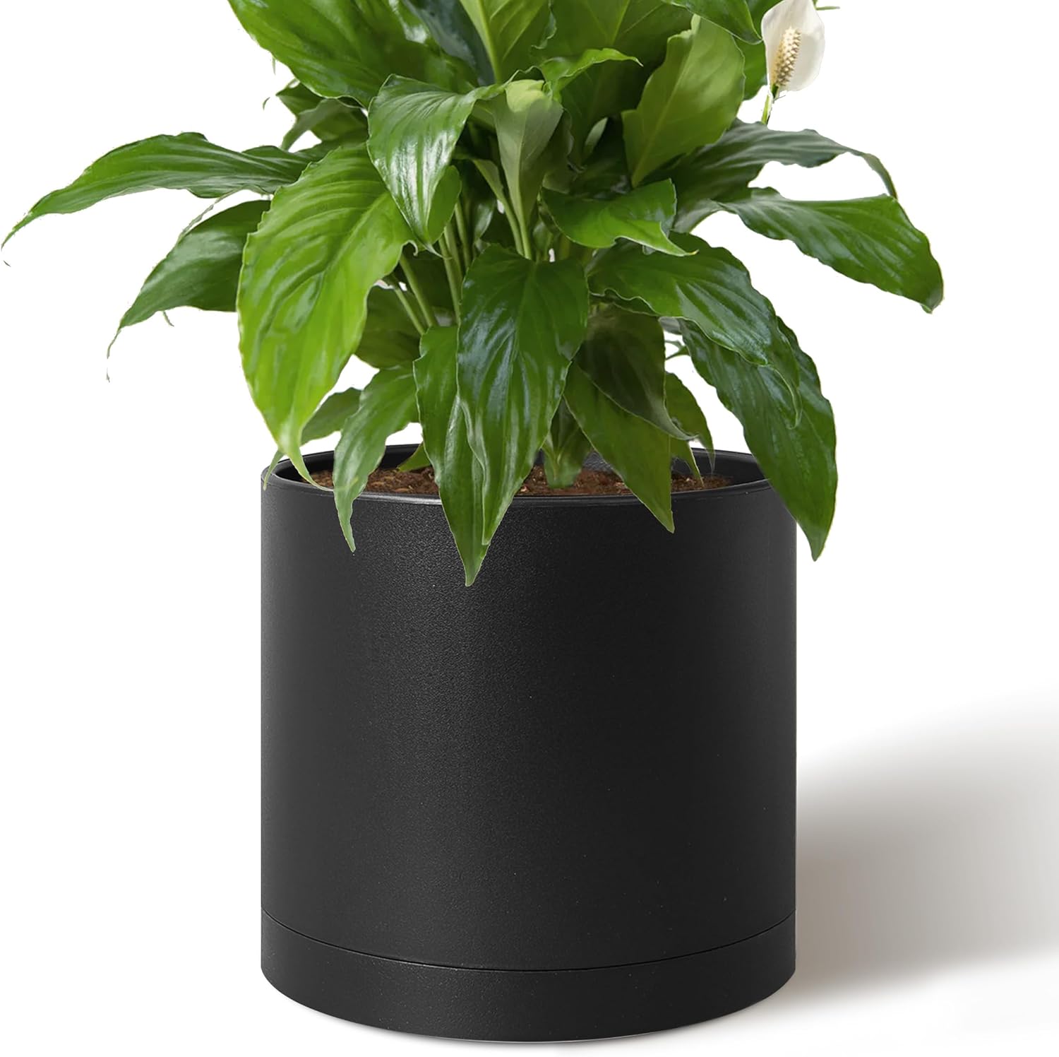  Plant Pot