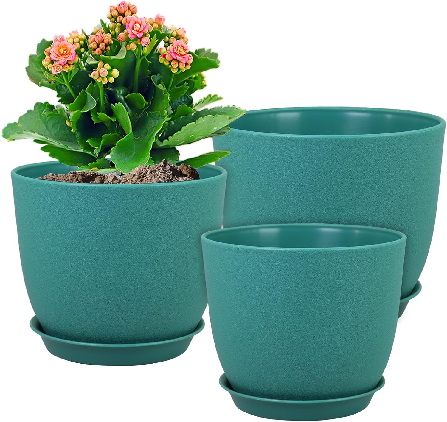 Flower Pots