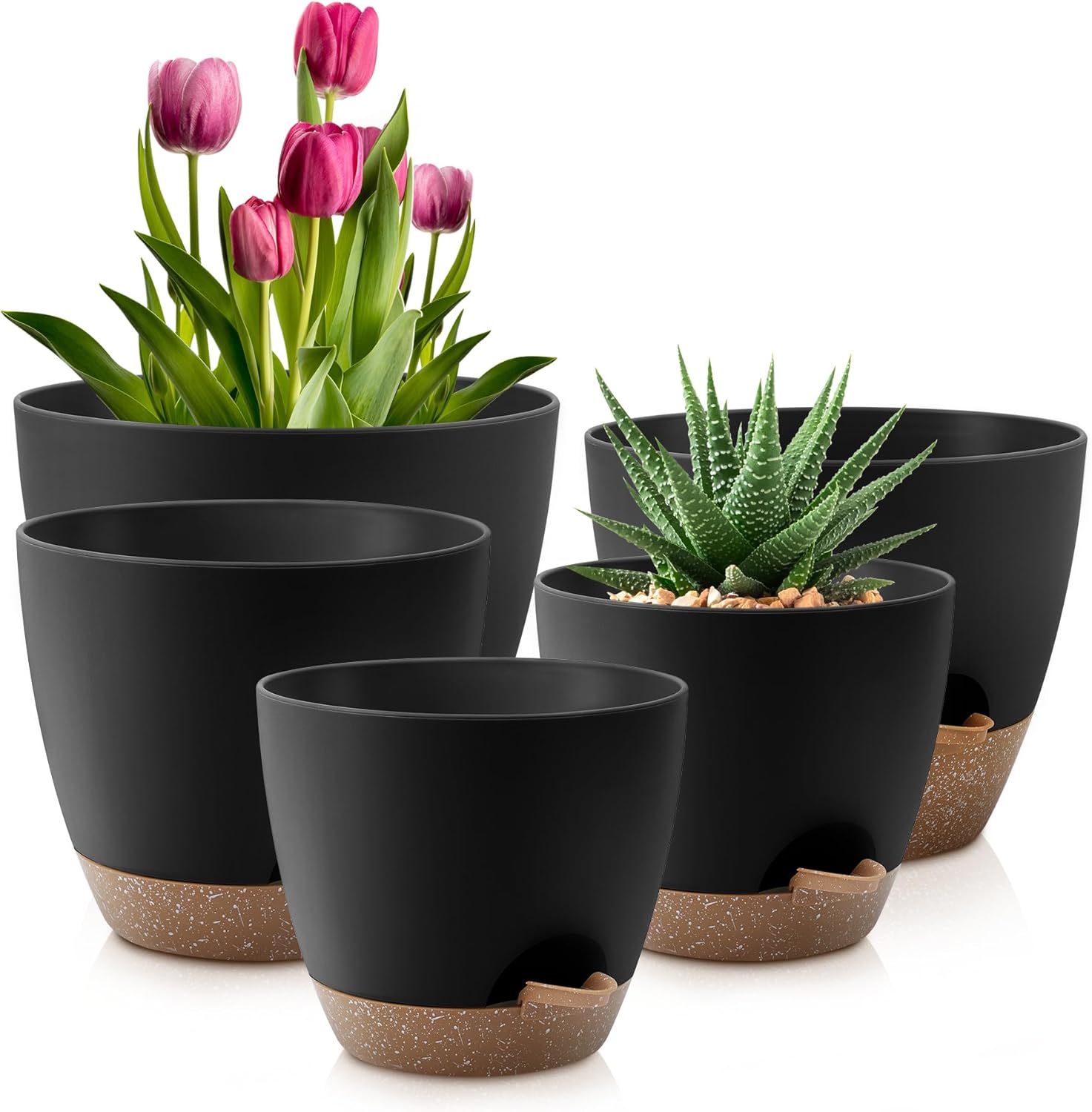 Plant Pots