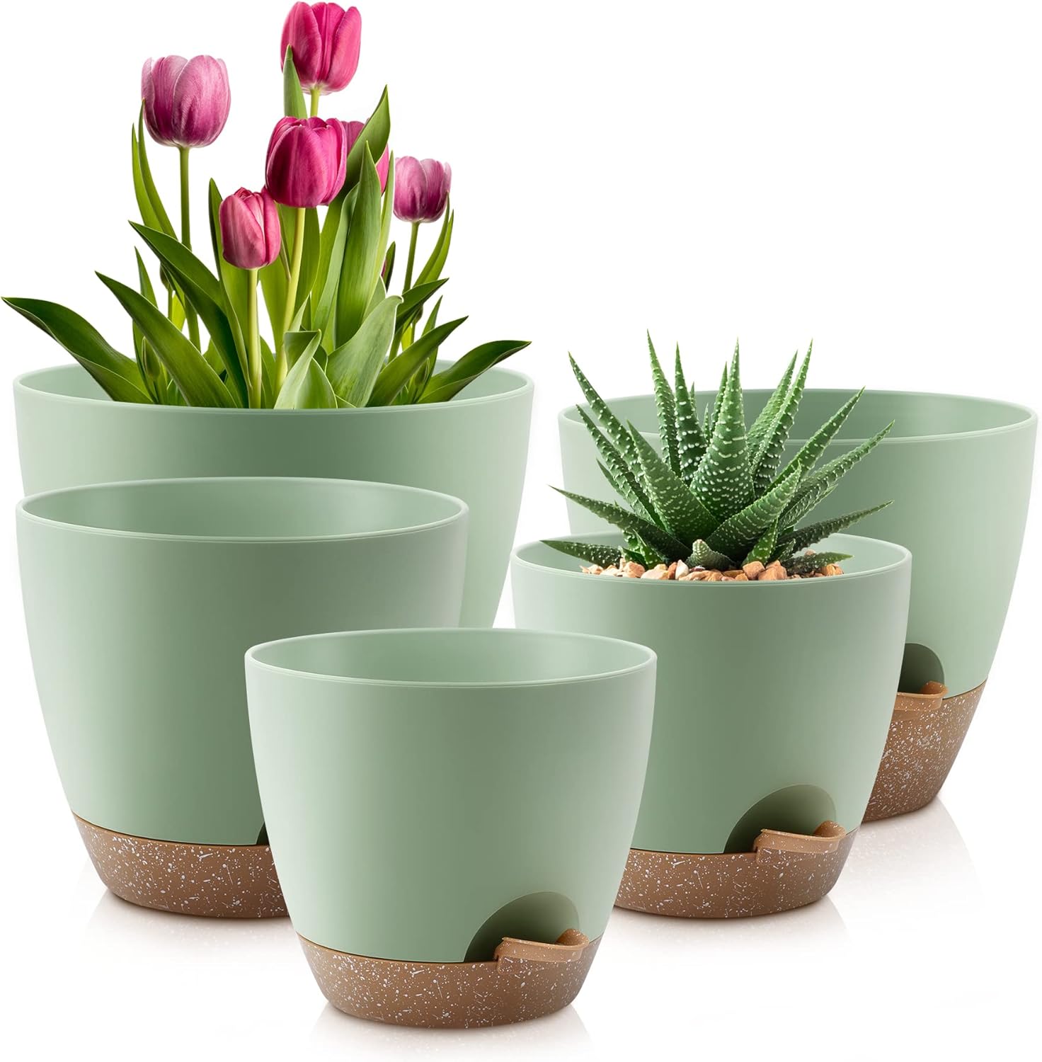 Plant Pots