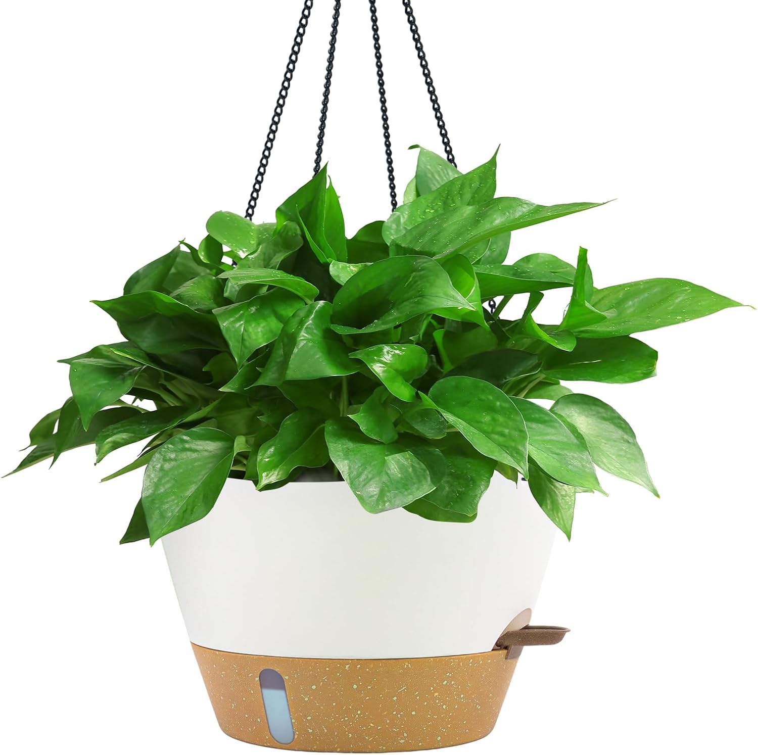 12 Inch Hanging Planters for Indoor Plants