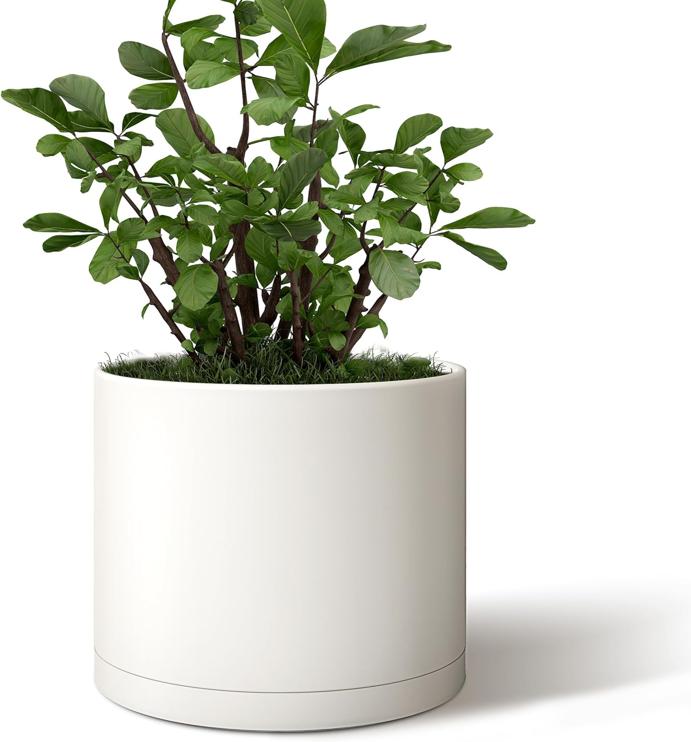  Plant Pot