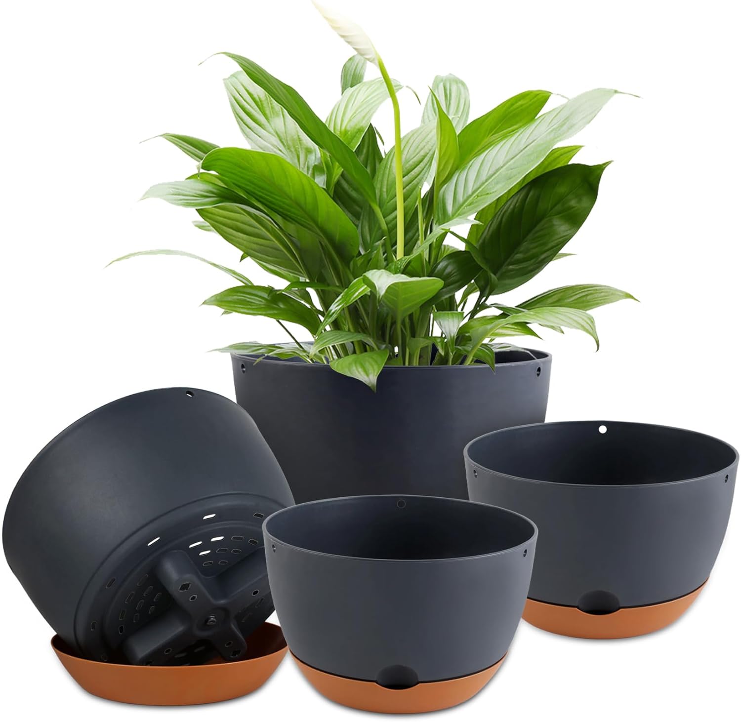  Pots for Indoor Plants