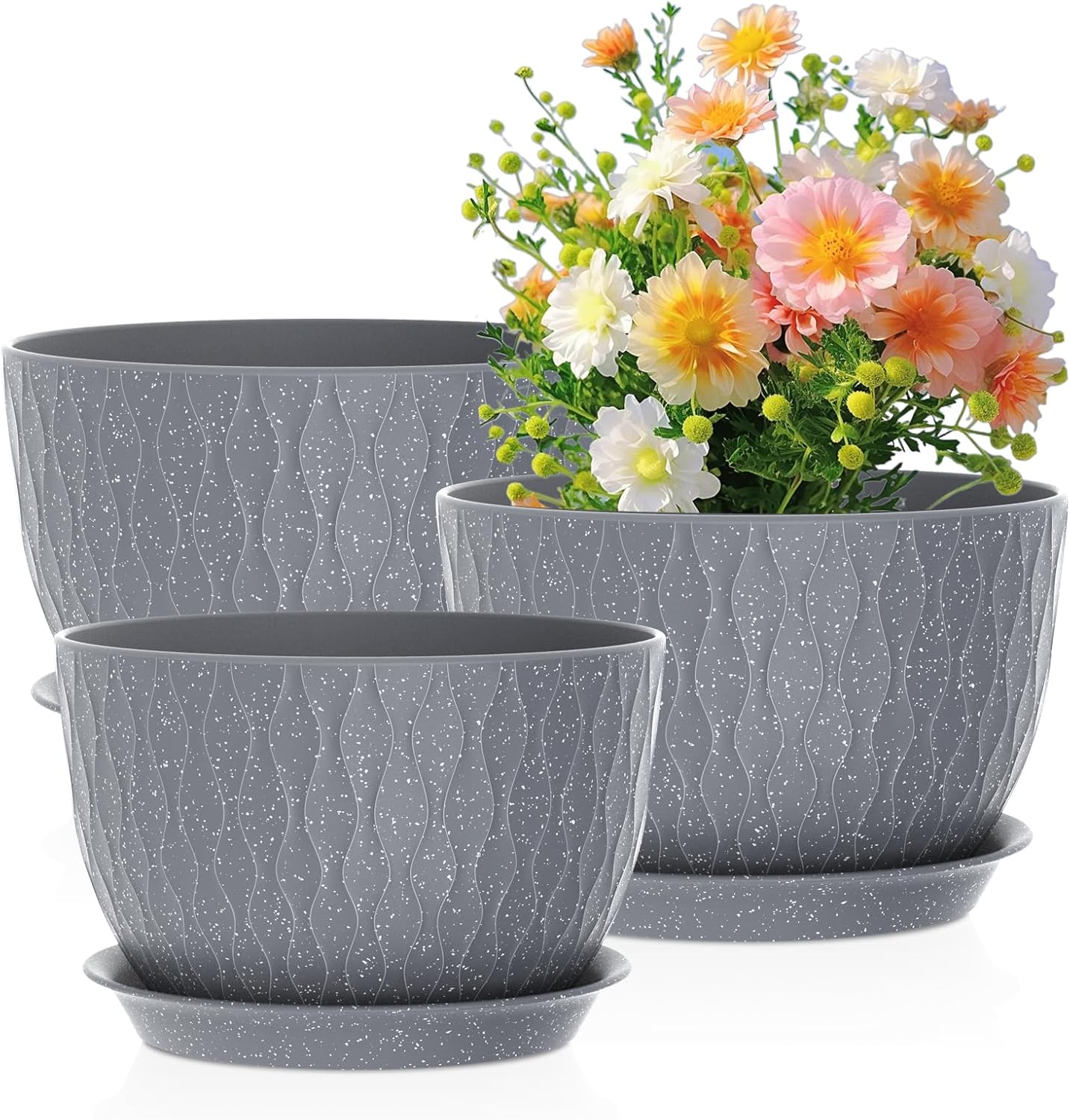 Large Plant Pots 