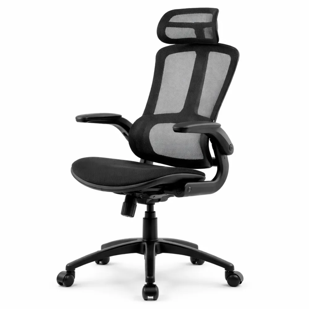 Chaise Ergonomique avec Soutien Lombaire et Siège Cascade