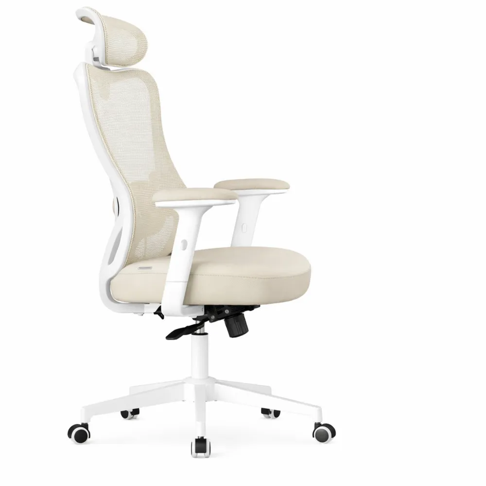 Chaise de Bureau Ergonomique avec Appui-Tête Réglable