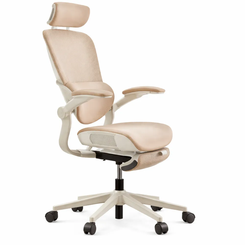 Chaise de Bureau Ergonomique avec Inclinaison et Soutien Ajustables