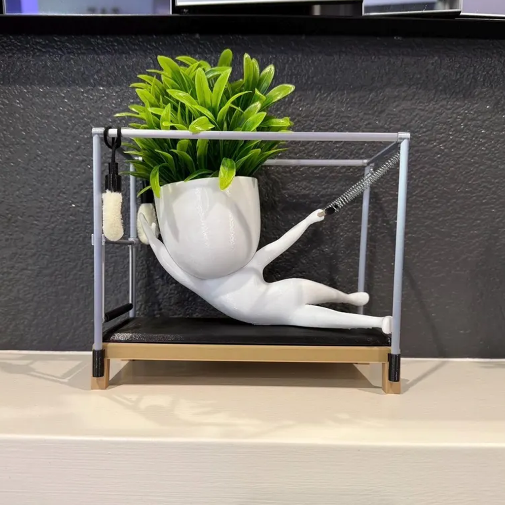 Pilates Studio Indoor Planter