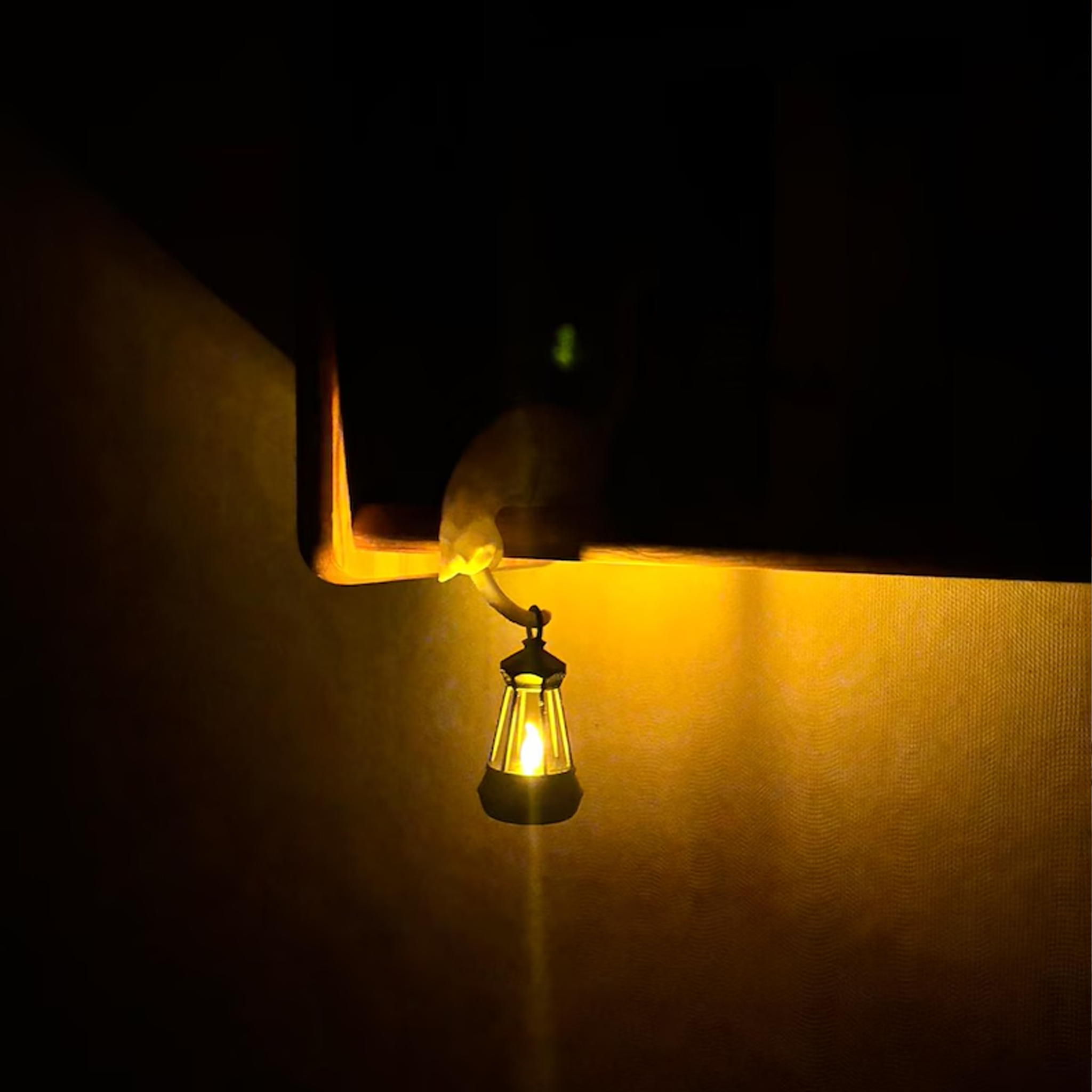 Cat Lantern Book Nook Light 