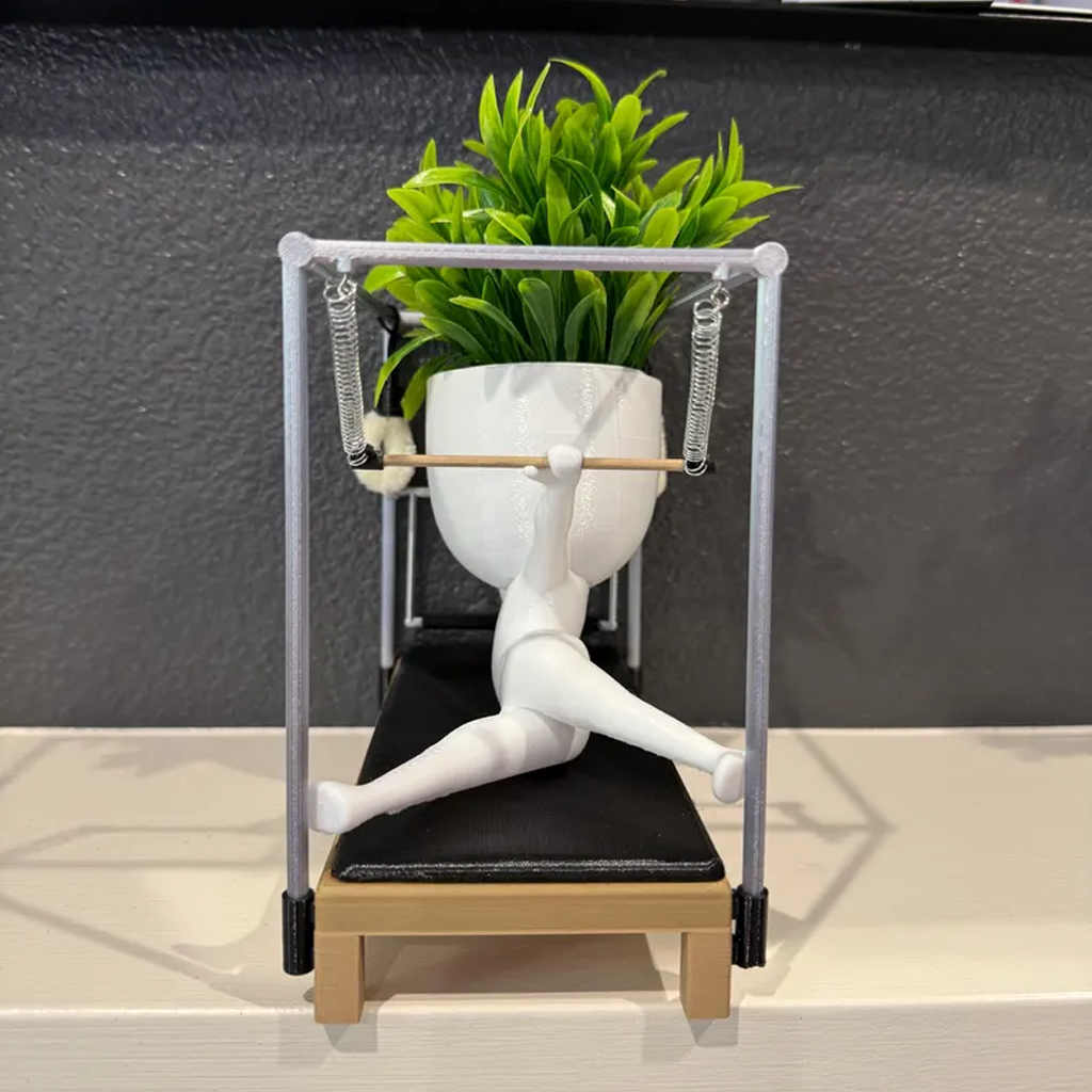 Pilates Studio Indoor Planter