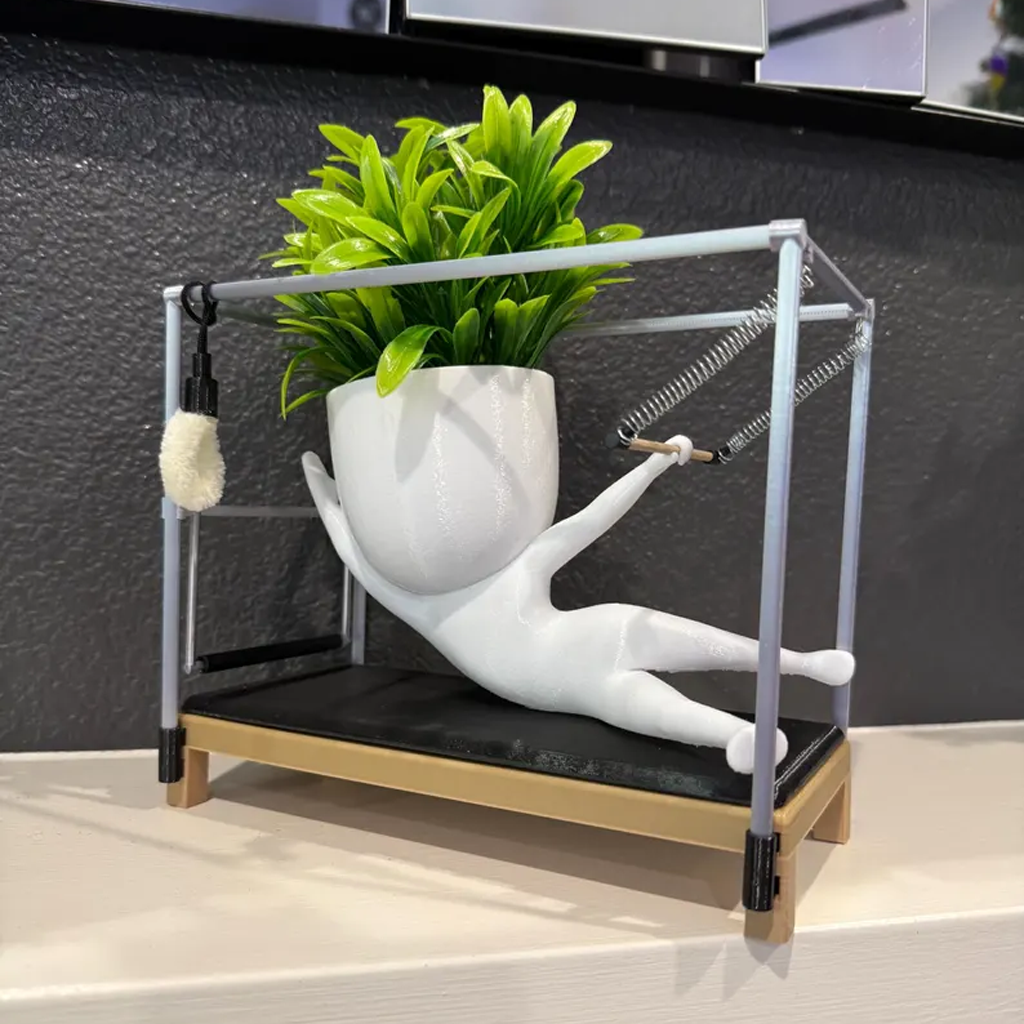 Pilates Studio Indoor Planter
