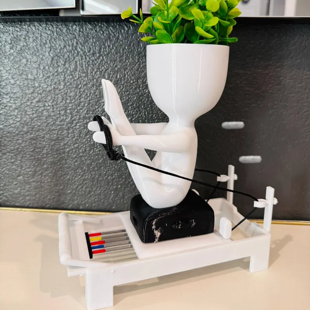 Pilates Studio Indoor Planter