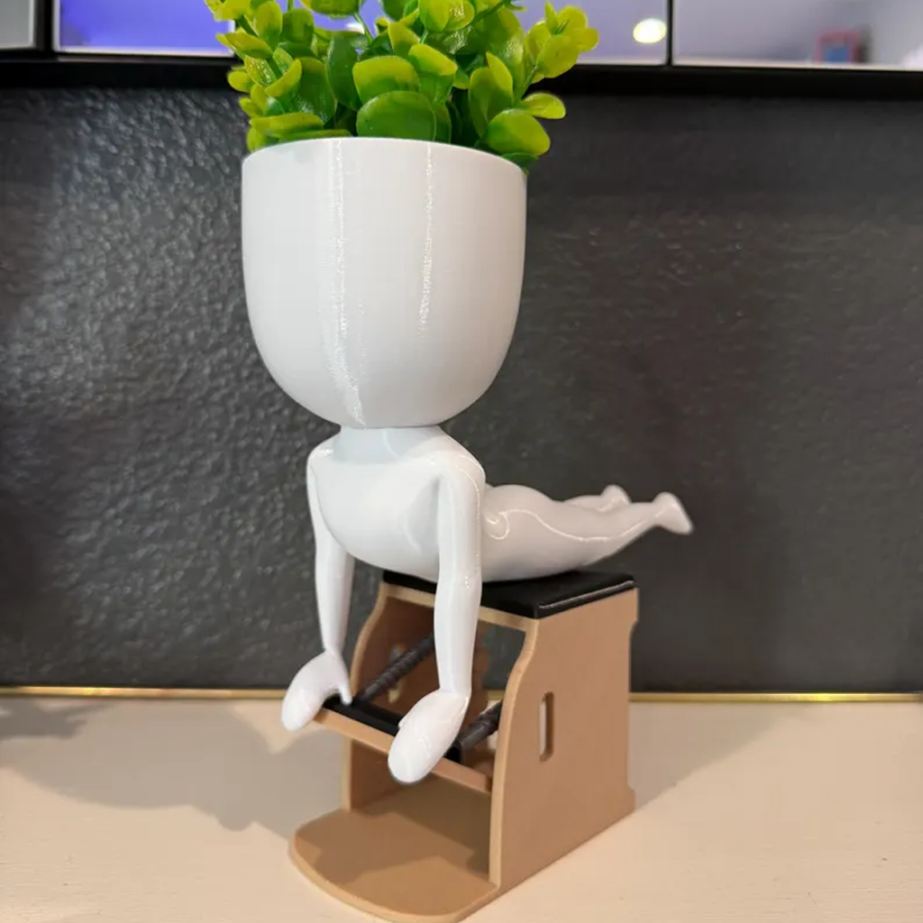 Pilates Studio Indoor Planter