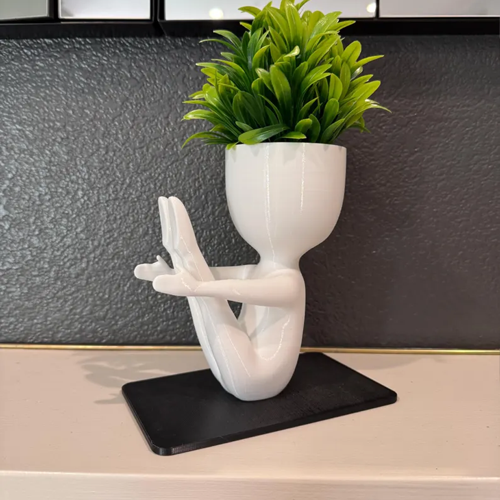 Pilates Studio Indoor Planter