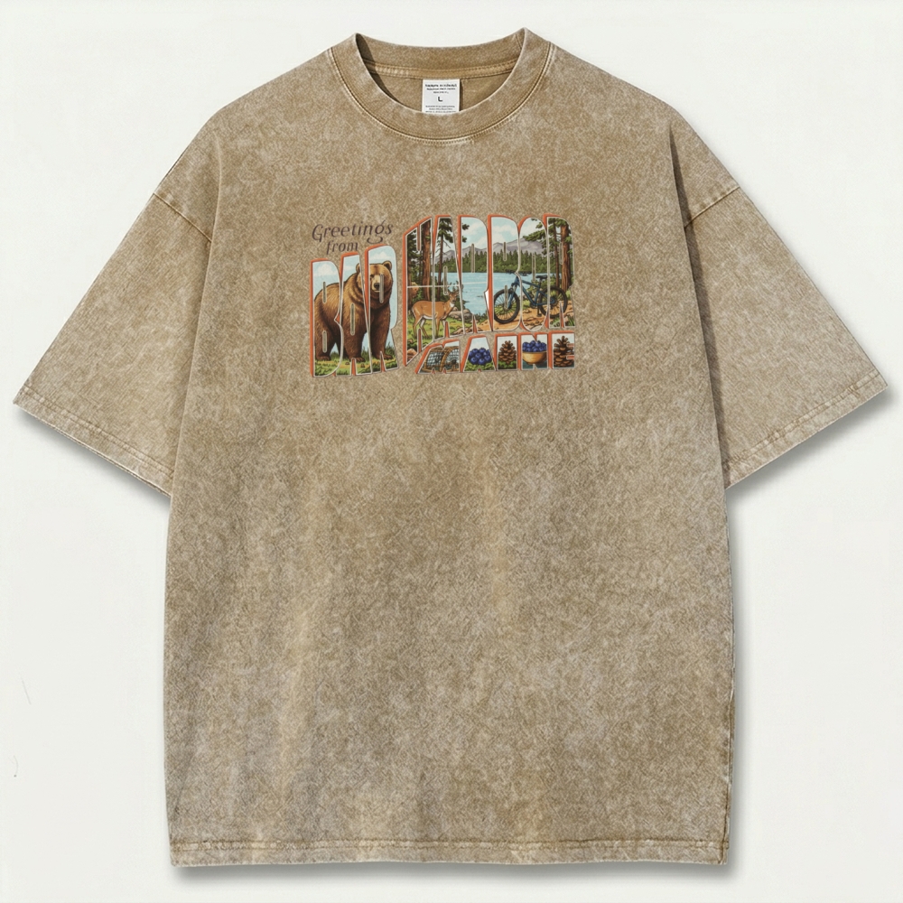 Bar Harbor Maine Vintage Organic Cotton Hiking Tee-HikeVista