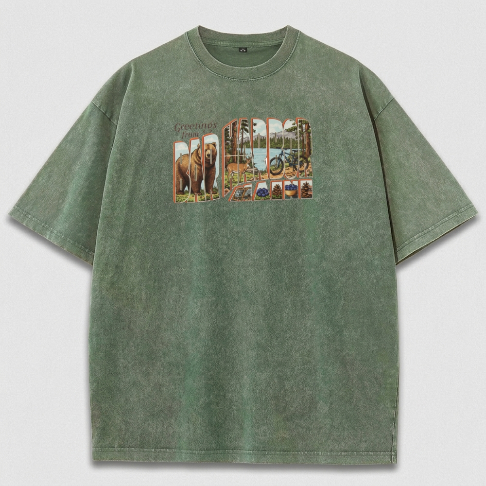 Bar Harbor Maine Vintage Organic Cotton Hiking Tee-HikeVista