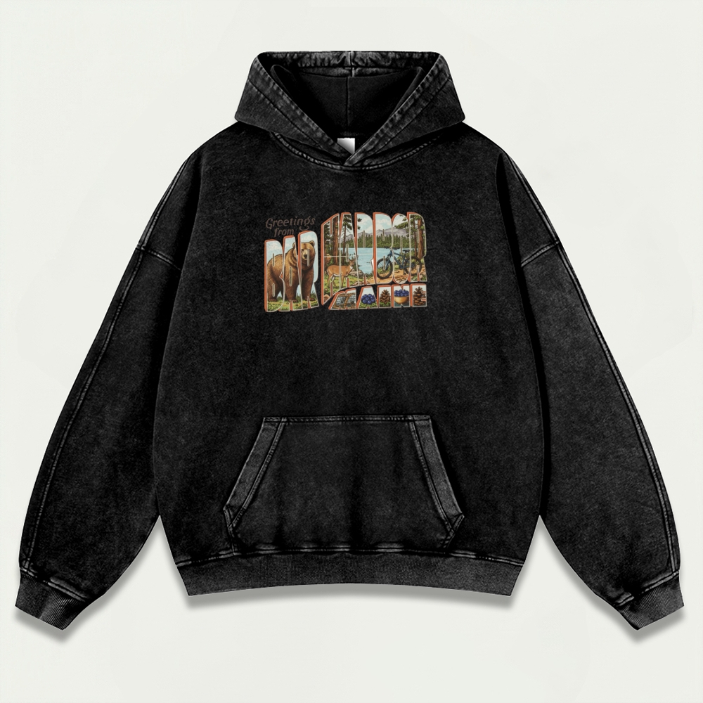 Bar Harbor Maine Vintage Premium Heavyweight Trail Hoodie-HikeVista