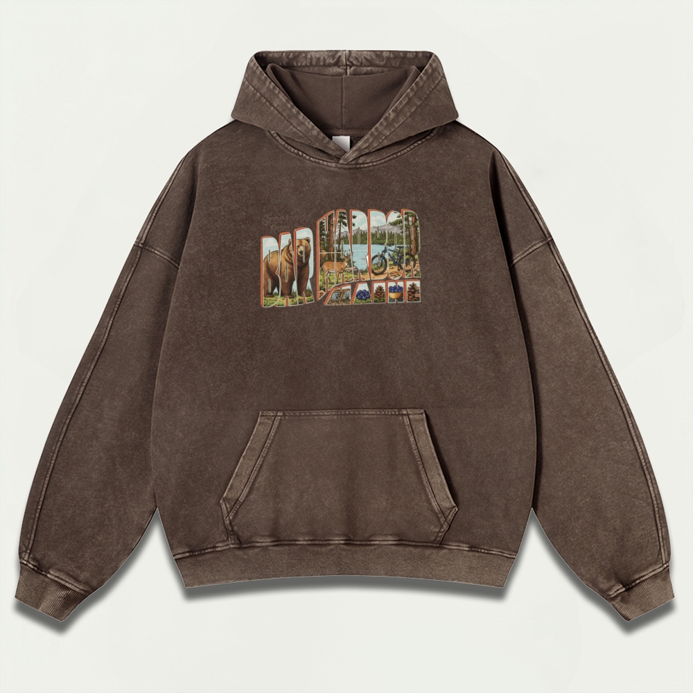 Bar Harbor Maine Vintage Premium Heavyweight Trail Hoodie-HikeVista