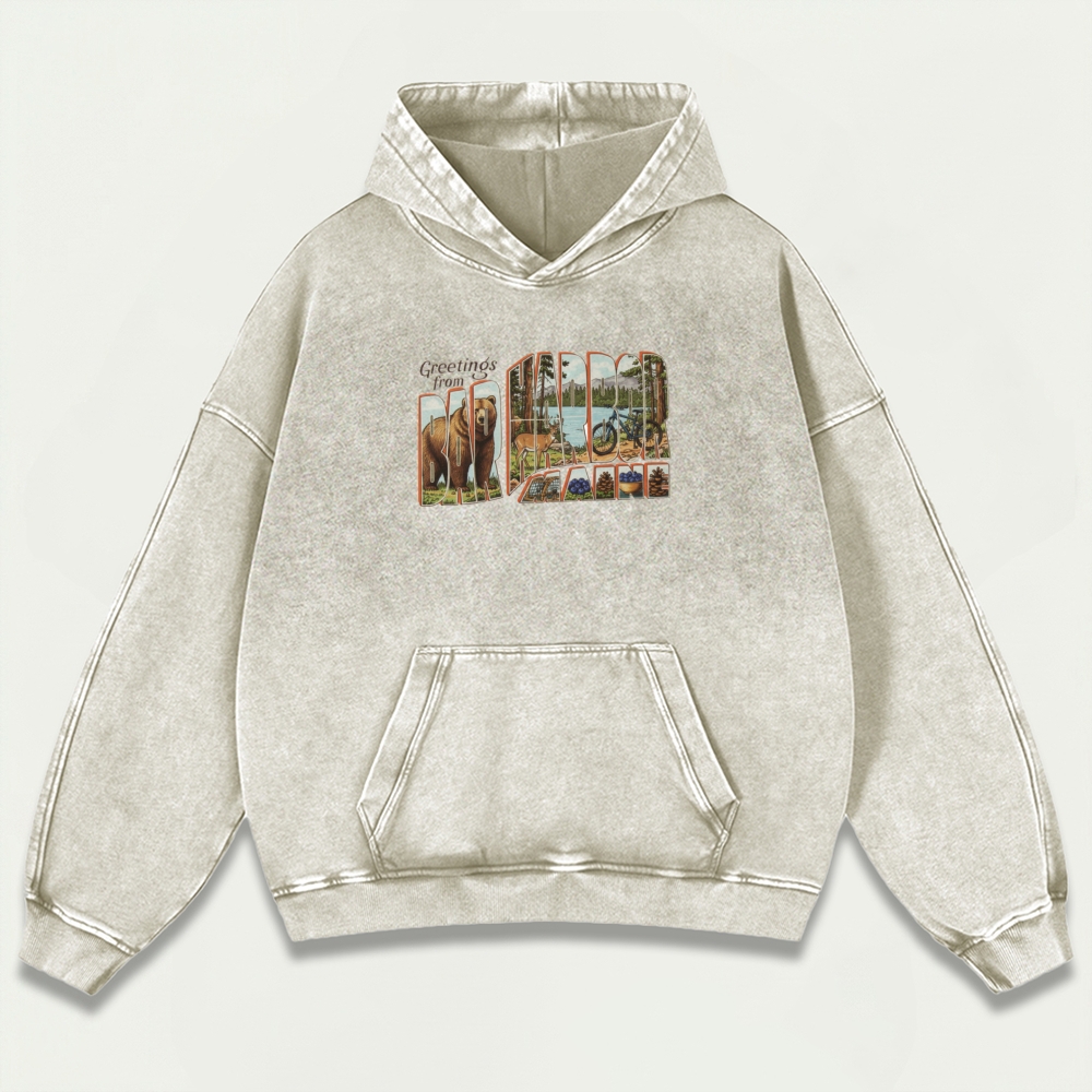 Bar Harbor Maine Vintage Premium Heavyweight Trail Hoodie-HikeVista