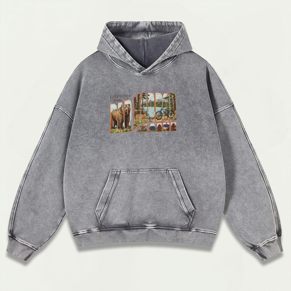 Bar Harbor Maine Vintage Premium Heavyweight Trail Hoodie-HikeVista