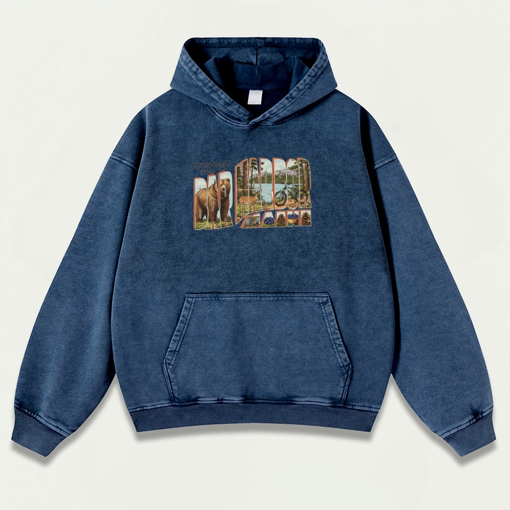 Bar Harbor Maine Vintage Premium Heavyweight Trail Hoodie-HikeVista