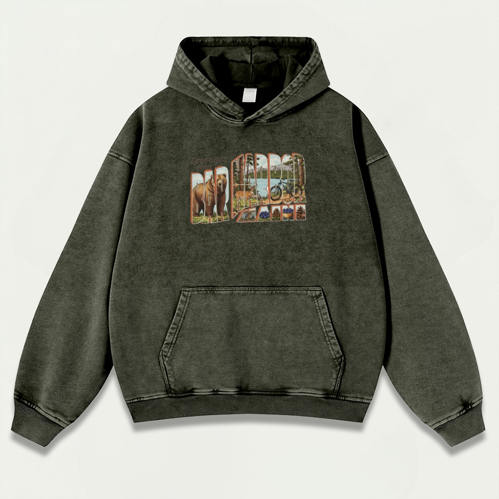 Bar Harbor Maine Vintage Premium Heavyweight Trail Hoodie-HikeVista